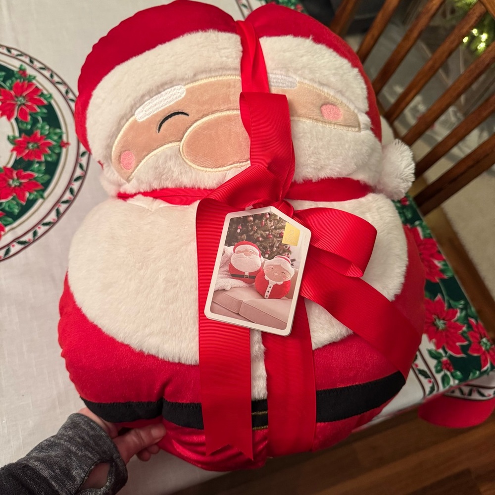 Donated new Santa and Mrs Claus decorative pillows 🎅🏼❤️🎅🏼